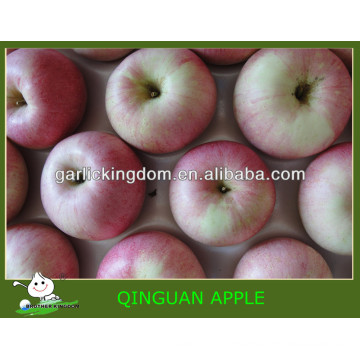 Vendre Chine qinguan apple Brother Kingdom